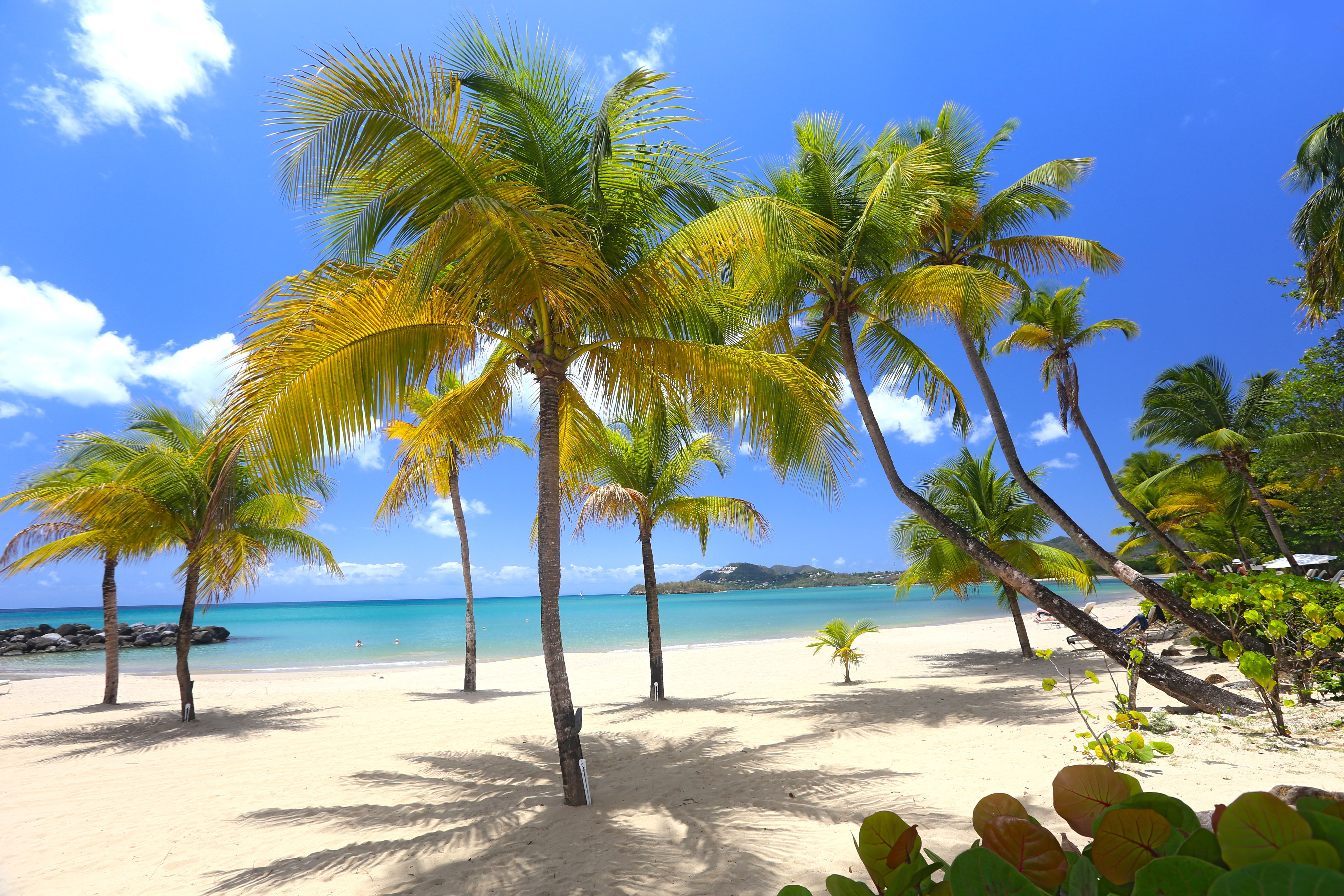 Christmas and new Year villas to rent in Barbados Luxury villas in Barbados for Christmas and New Year