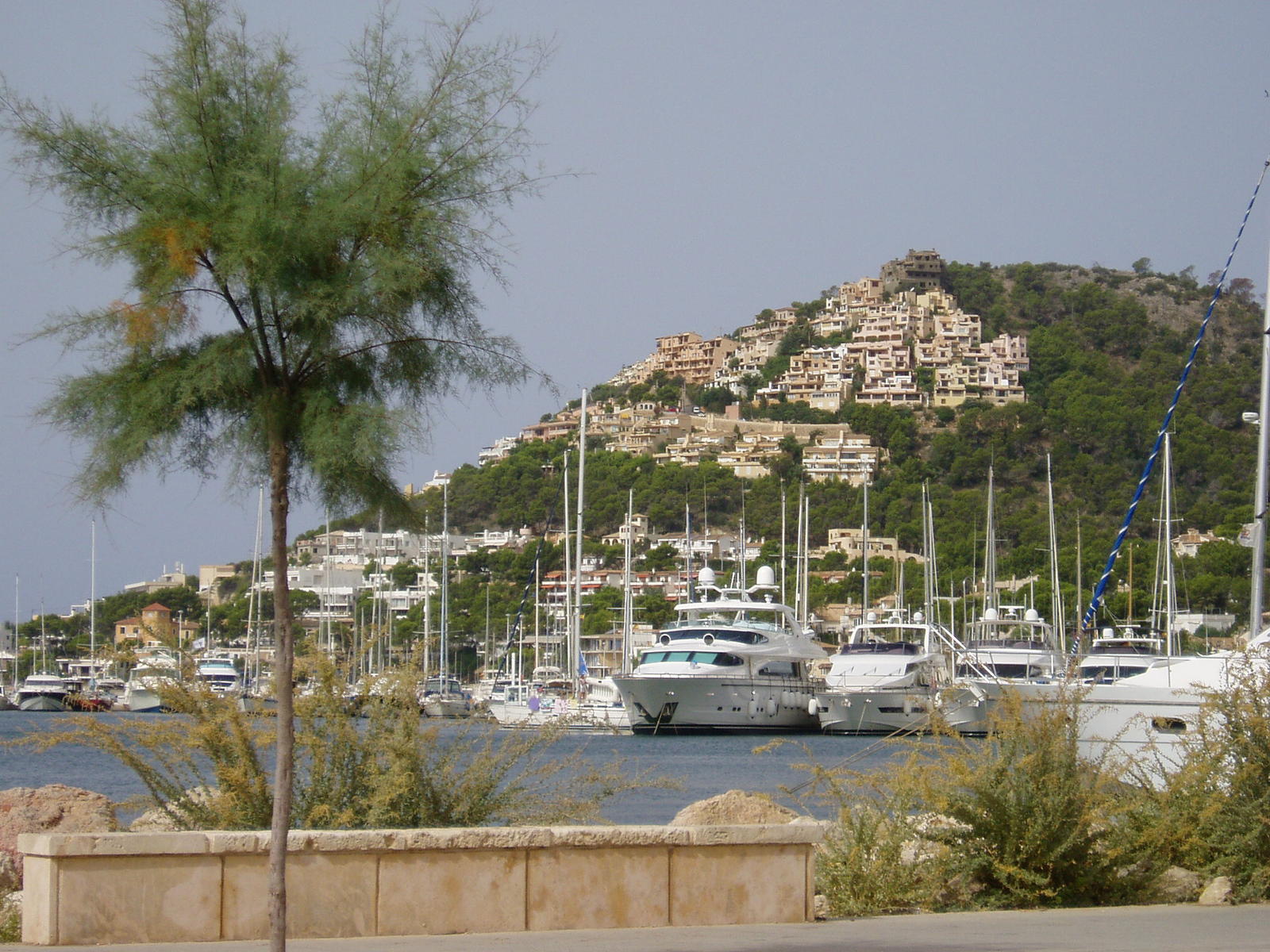 Port Andratx Mallorca Port Andratx Mallorca