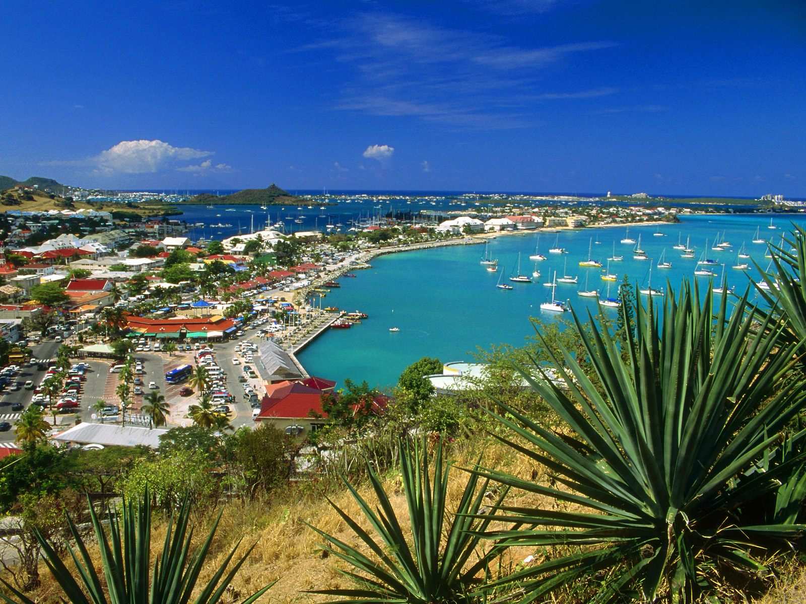 Villas in St Martin Marigot St Martin