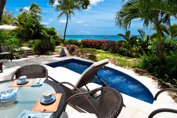 Coral Cove 2 - The Mahogany Tree