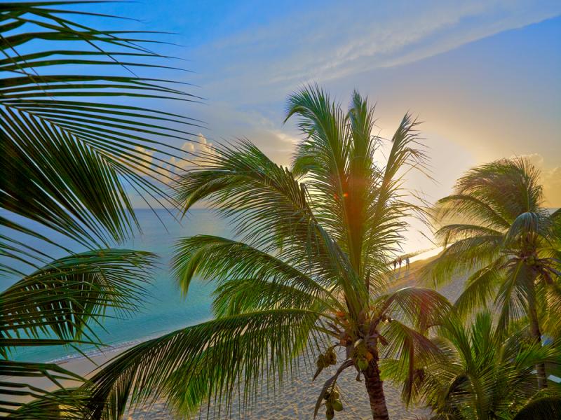 Crowsnest Villa- Beachfront , Beachfront villas Barbados , Christ Church  , South Coast Barbados , St Michael  