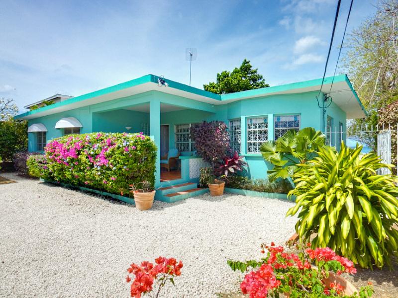 Sea Turtle , Beachfront villas Barbados , West Coast Barbados  