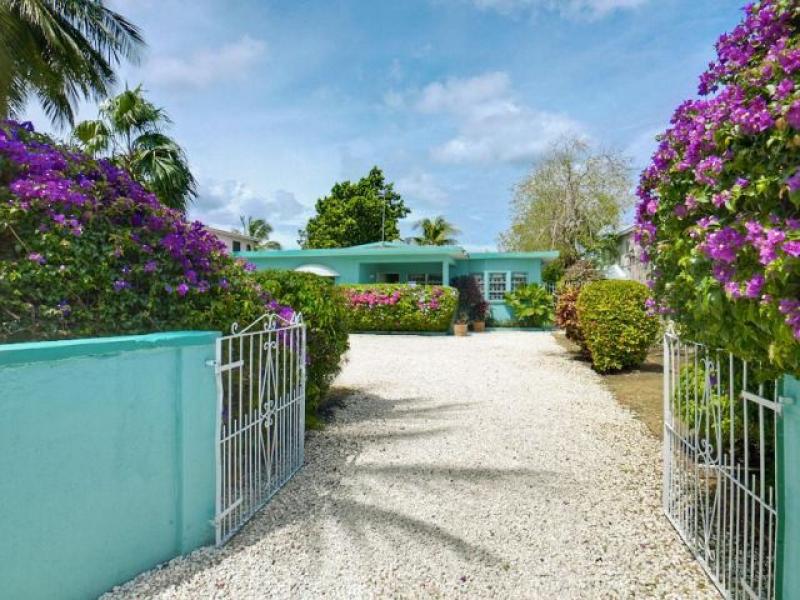 Sea Turtle , Beachfront villas Barbados , West Coast Barbados  
