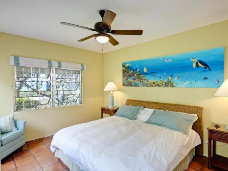 Sea Turtle , Beachfront villas Barbados , West Coast Barbados  