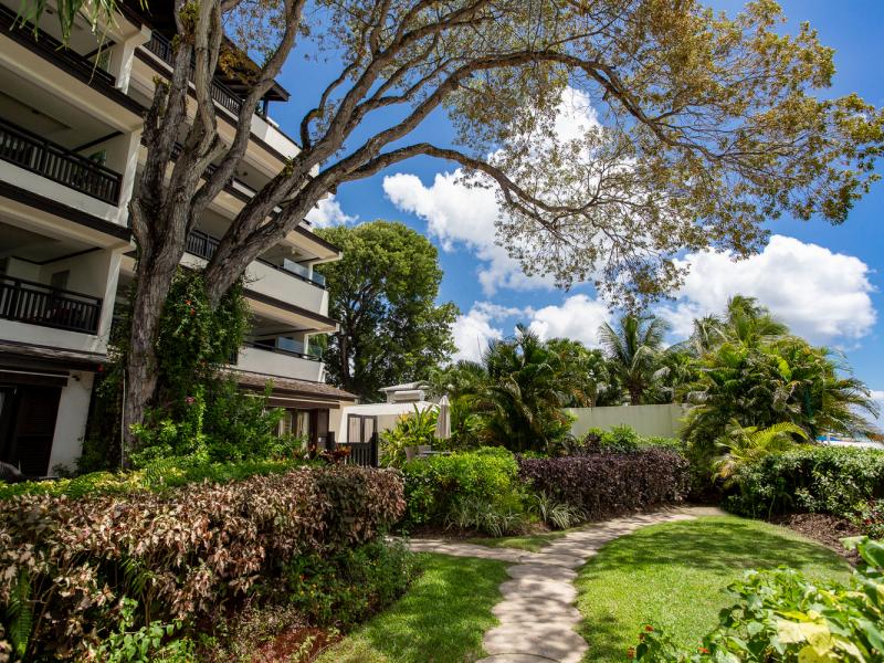 Coral Cove 14 - Crows Nest beachfront , Beachfront villas Barbados , Coral Cove , Paynes Bay , St James , West Coast Barbados  